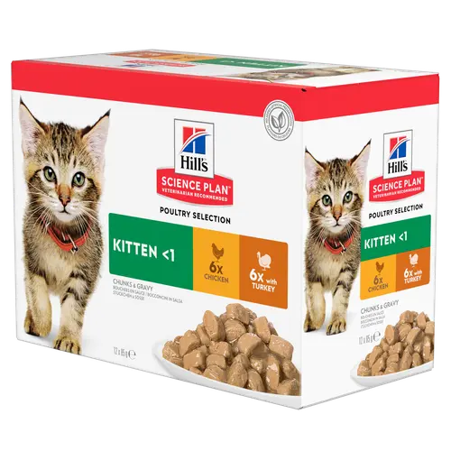 Hill's SCIENCE PLAN Kitten Katzenfutter