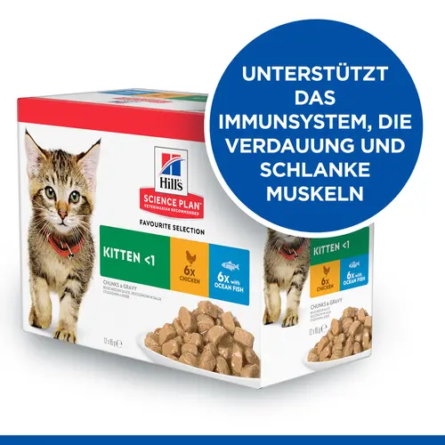 Hill's SCIENCE PLAN Kitten Katzenfutter