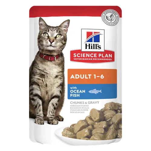 Hill's Science Plan Adult Katzenfutter mit Seefisch