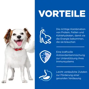 Hill's Science Plan Small & Mini Adult Mousse für Hunde mit Rindfleisch