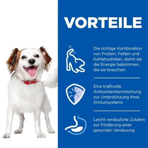 Hill's Science Plan Small & Mini Adult Mousse für Hunde mit Rindfleisch