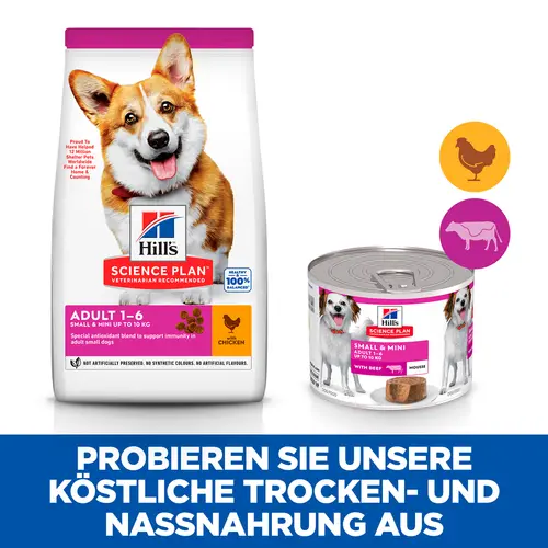 Hill's Science Plan Small & Mini Adult Mousse für Hunde mit Rindfleisch