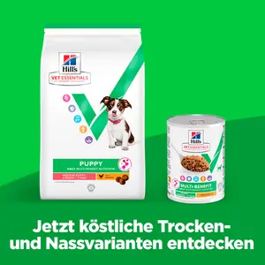 Hill's Vet Essentials MULTI-BENEFIT Medium Puppy Welpenfutter mit Huhn
