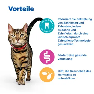 Hill's Vet Essentials MULTI-BENEFIT + Dental Adult 1+ Katzenfutter mit Huhn