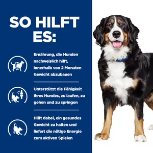 Hill's Prescription Diet Metabolic + Mobility Ragout für Hunde mit Thunfisch- und Gemüsegeschmack