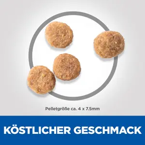 Hill's Science Plan Sensitive Stomach & Skin Small & Mini Adult Hundefutter mit Huhn