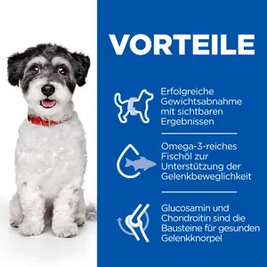 Hill's Science Plan Perfect Weight + Active Mobility Small & Mini Adult Hundefutter