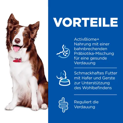 Hill's Science Plan Perfect Digestion Medium Adult Hundefutter mit Huhn & braunem Reis