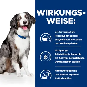 Hill's Prescription Diet i/d Sensitive Hundefutter mit Ei und Reis