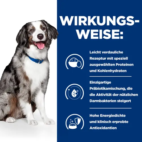 Hill's Prescription Diet i/d Sensitive Hundefutter mit Ei und Reis