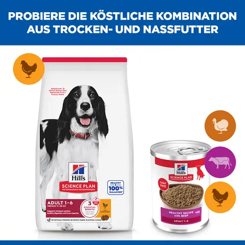 Hill's Science Plan Adult Hundefutter mit Rind