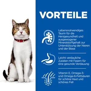 Hill's SCIENCE PLAN Mature Adult 7+ Multipack Nassfutter für Katzen