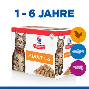 Hill's SCIENCE PLAN Adult Katzenfutter