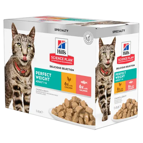 Hill's SCIENCE PLAN Perfect Weight Multipack Lachs Nassfutter für Katzen