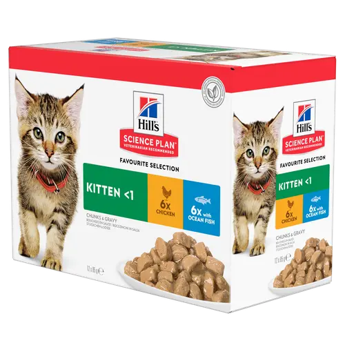 Hill's SCIENCE PLAN Kitten Katzenfutter