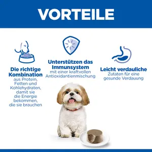 Hill's Science Plan Small & Mini Mature Adult Mousse für Hunde mit Rindfleisch