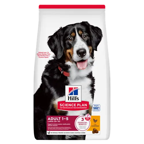 Hill's Science Plan Large Breed Adult Hundefutter mit Huhn
