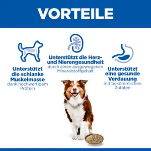 Hill's Science Plan Mature Adult für Hunde mit Rind