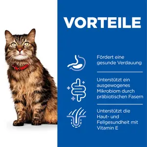 Hill's Science Plan Sensitive Stomach & Skin Adult Katzenfutter mit Truthahn