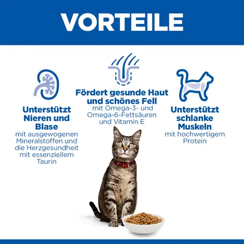 Hill's Science Plan Adult Katzenfutter mit Lachs