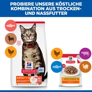 Hill's Science Plan Adult Katzenfutter mit Lachs
