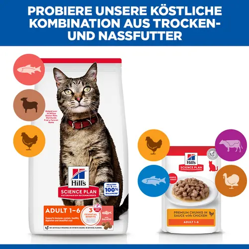 Hill's Science Plan Adult Katzenfutter mit Lachs