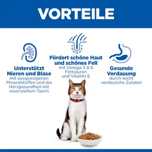 Hill's Science Plan Mature Adult Katzenfutter mit Lachs