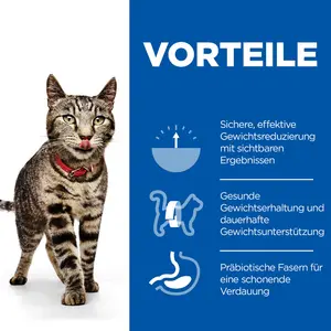 Hills Science Plan Perfect Weight Multipack Lachs Nassfutter für Katzen