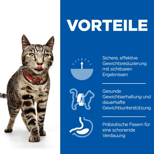 Hills Science Plan Perfect Weight Multipack Lachs Nassfutter für Katzen