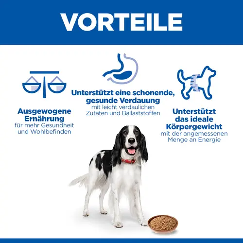 Hill's Science Plan Adult Hundefutter Truthahn
