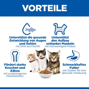 Hill's Science Plan Kitten Kätzchenfutter mit Lachs