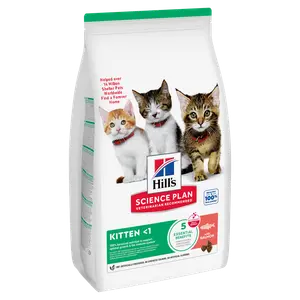 Hill's Science Plan Kitten Kätzchenfutter mit Lachs