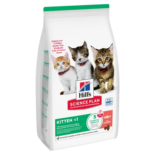 Hill's Science Plan Kitten Kätzchenfutter mit Lachs