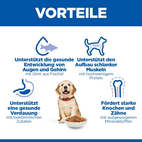 Hill's Science Plan Large Breed Puppy Welpenfutter mit Huhn