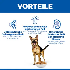 Hill's Science Plan Large Breed Mature Adult Hundefutter mit Huhn