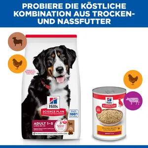 Hill's Science Plan Large Breed Adult Hundefutter mit Lamm & Reis