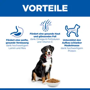 Hill's Science Plan Large Breed Adult Hundefutter mit Lamm & Reis