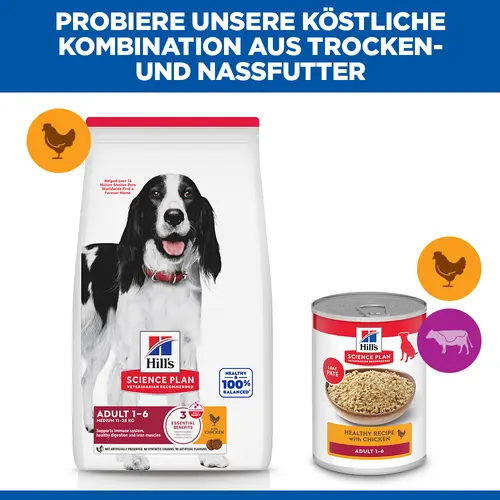 Hill's Science Plan Medium Adult Hundefutter mit Huhn