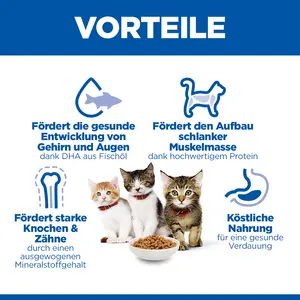 Hill's Science Plan Kitten Kätzchenfutter mit Huhn
