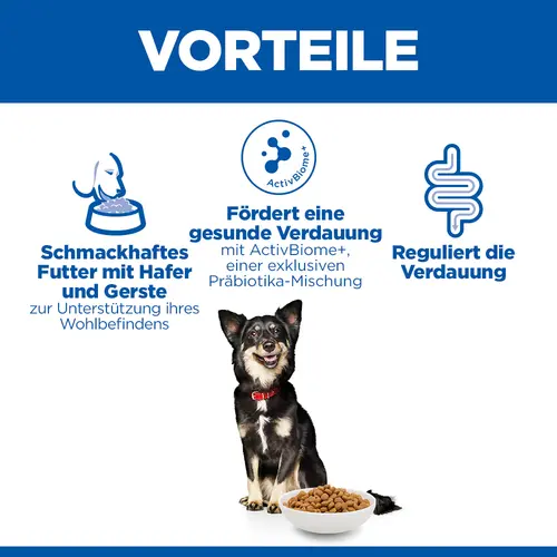 Hill's Science Plan Perfect Proteinhydrolysation Small & Mini Adult Hundefutter mit Huhn & braunem Reis