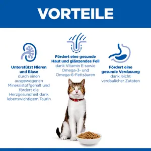 Hill's Science Plan Mature Adult Katzenfutter mit Huhn