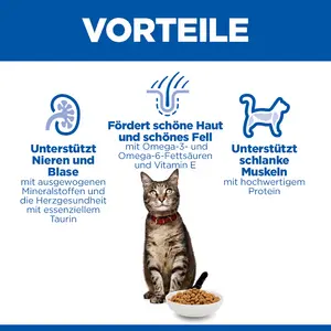 Hill's Science Plan Adult Katzenfutter mit Lamm