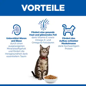 Hill's Science Plan Adult Katzenfutter mit Huhn