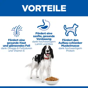 Hill's Science Plan Medium Adult Hundefutter mit Lamm & Reis