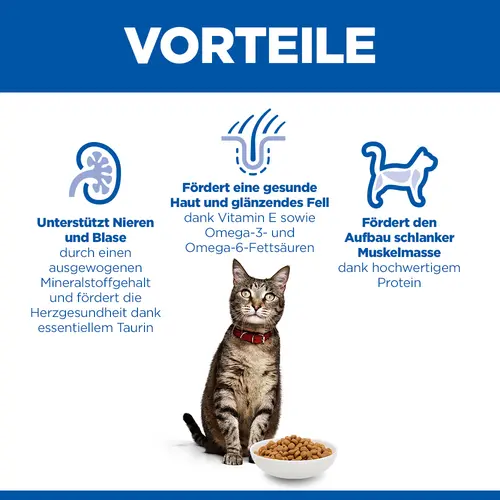 Hill's Science Plan Adult Katzenfutter mit Huhn