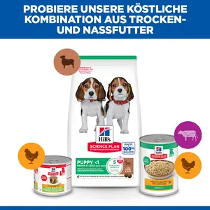 Hill's Science Plan Medium Puppy Welpenfutter mit Lamm & Reis