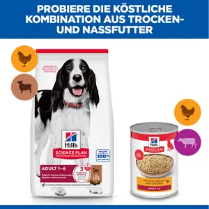 Hill's Science Plan Medium Adult Hundefutter mit Lamm & Reis