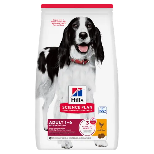 Hill's Science Plan Medium Adult Hundefutter mit Huhn