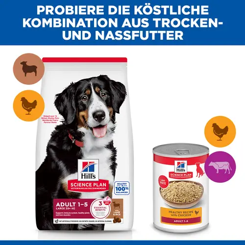 Hill's Science Plan Large Breed Adult Hundefutter mit Lamm & Reis