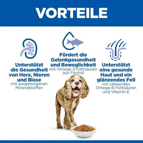Hill's Science Plan Small & Mini Senior Hundefutter mit Huhn